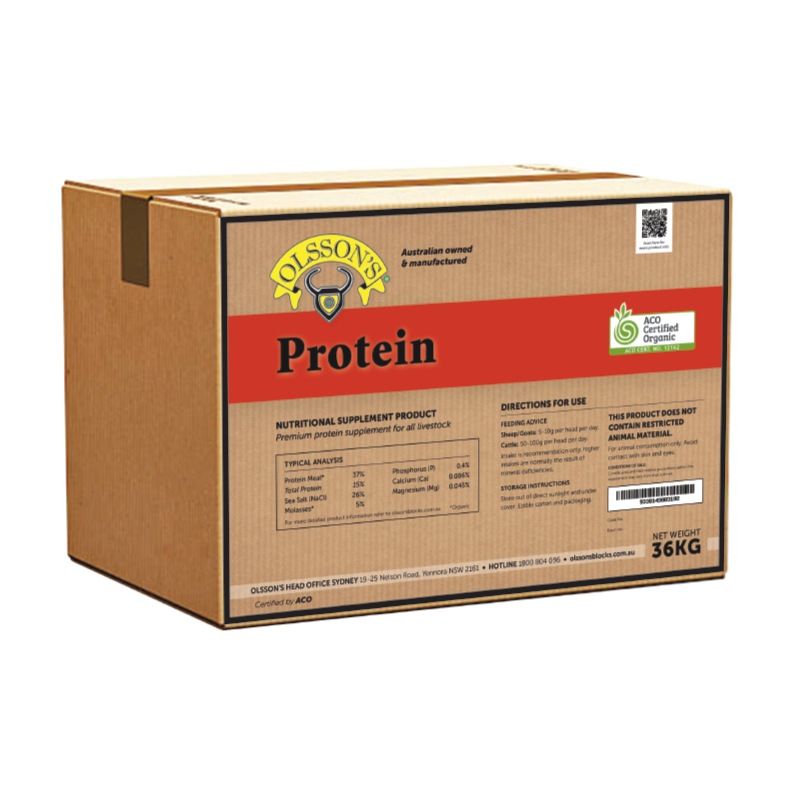 Organic Protein